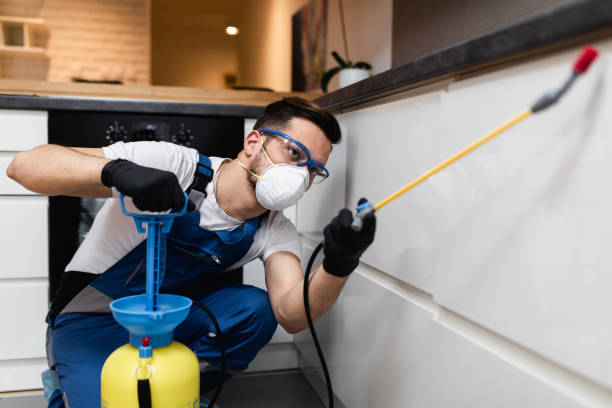 Best Commercial Pest Control Services  in Burbank, IL