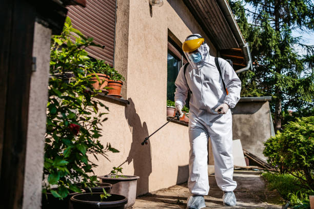 Best Exterminator Services  in Burbank, IL
