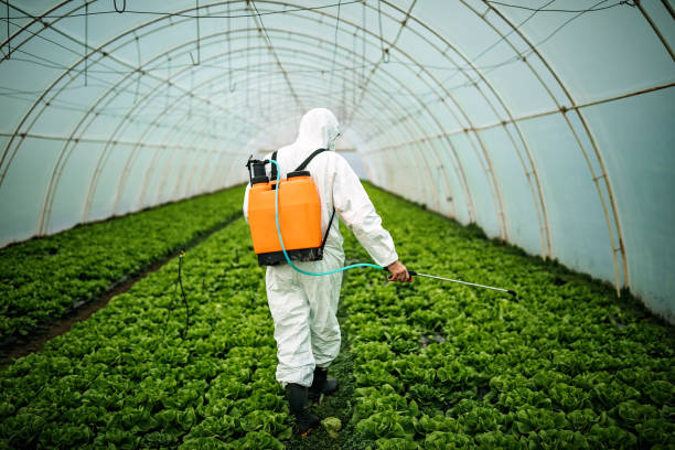Best Mosquito Control Services  in Burbank, IL