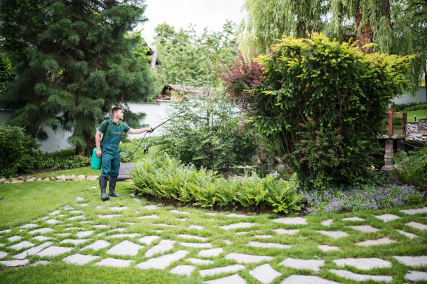 Best Bird Control  in Burbank, IL