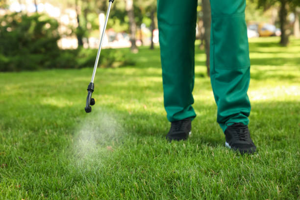 Best Affordable Pest Control Services  in Burbank, IL