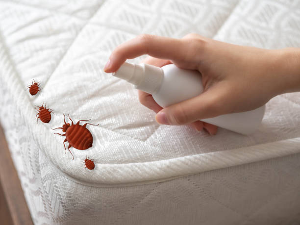 Burbank, IL Pest Control Company