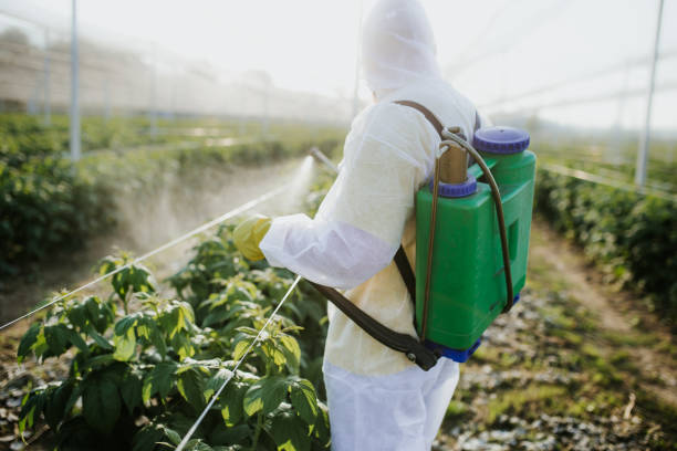 Best Pest Control for Homes  in Burbank, IL